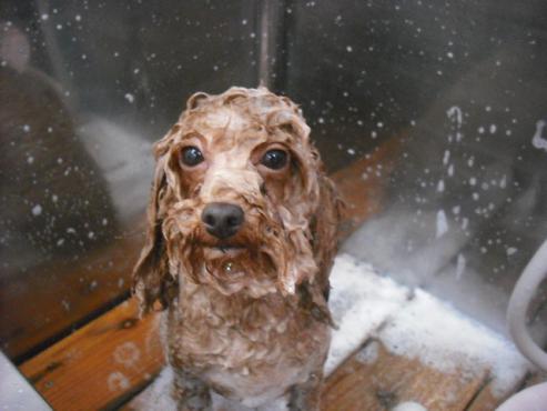 ファイル 1106-2.jpg