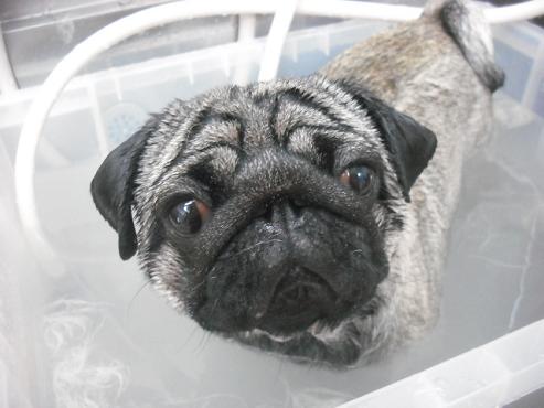 ファイル 1107-2.jpg