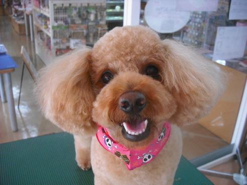 ファイル 1109-1.jpg