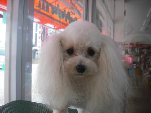 ファイル 111-1.jpg