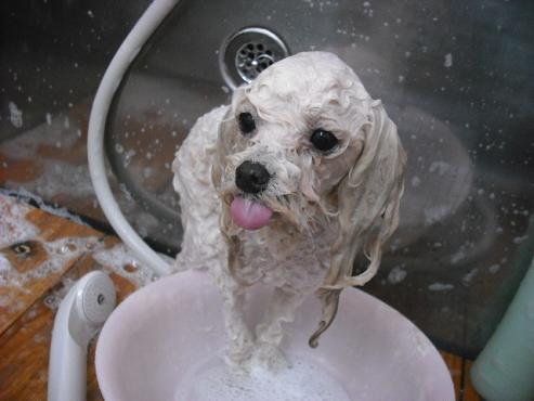 ファイル 111-2.jpg