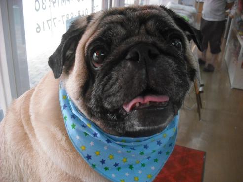 ファイル 1110-1.jpg