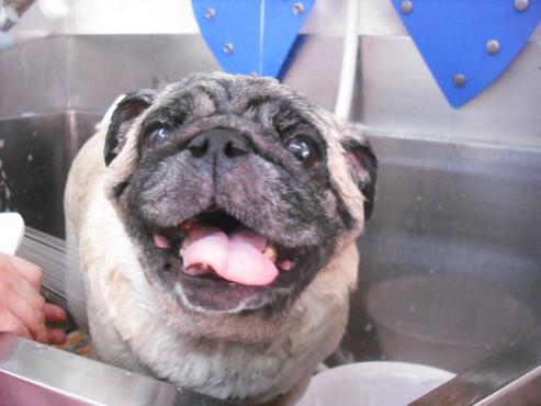 ファイル 1110-2.jpg