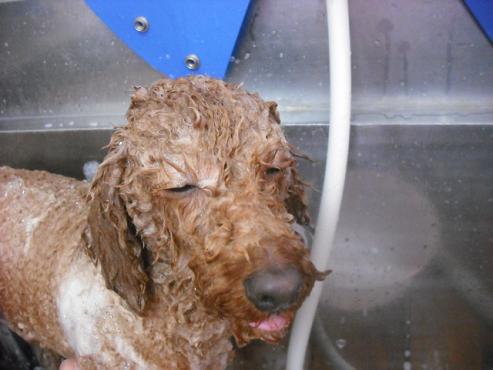 ファイル 1112-2.jpg