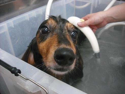 ファイル 1113-2.jpg