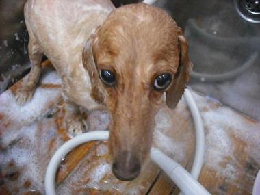 ファイル 1114-2.jpg