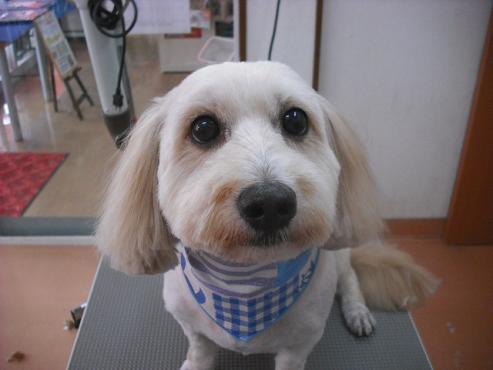 ファイル 1116-1.jpg