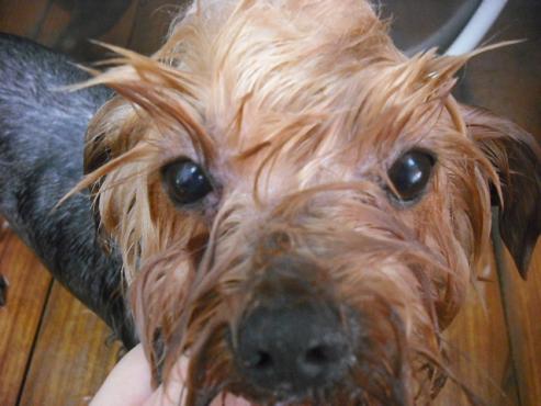 ファイル 1117-2.jpg