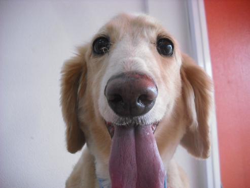 ファイル 1119-2.jpg