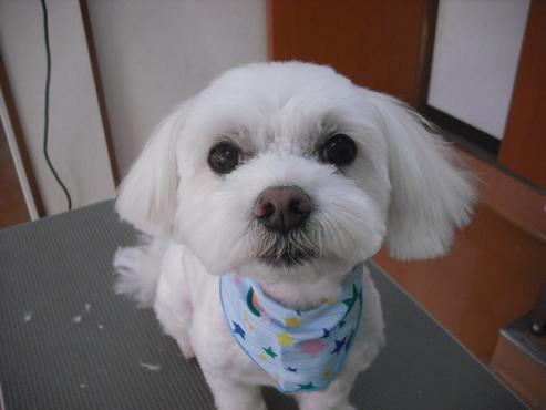 ファイル 112-1.jpg