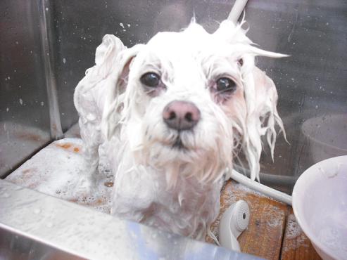 ファイル 112-2.jpg