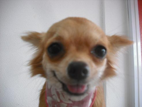 ファイル 1120-2.jpg