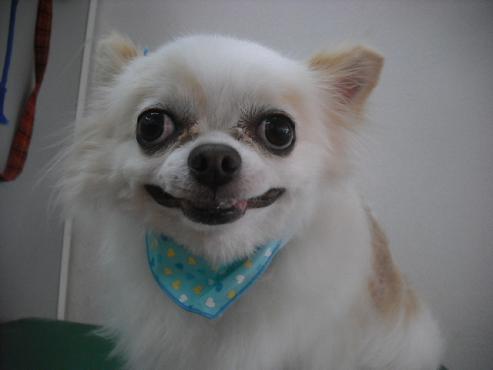 ファイル 1122-1.jpg