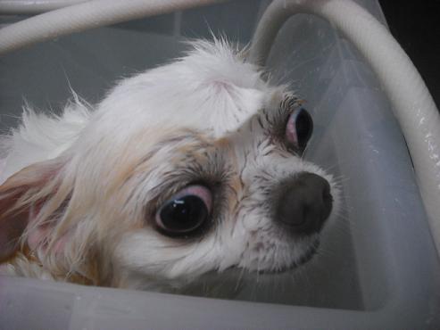 ファイル 1122-2.jpg