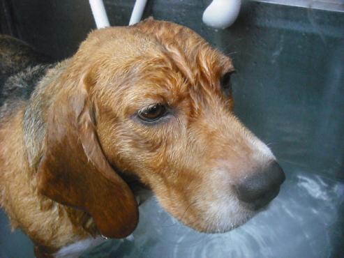 ファイル 1123-2.jpg