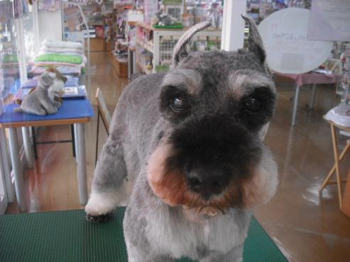 ファイル 1124-1.jpg