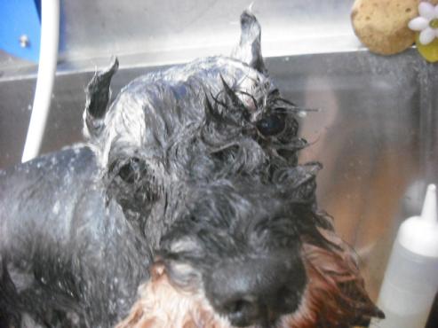 ファイル 1124-2.jpg