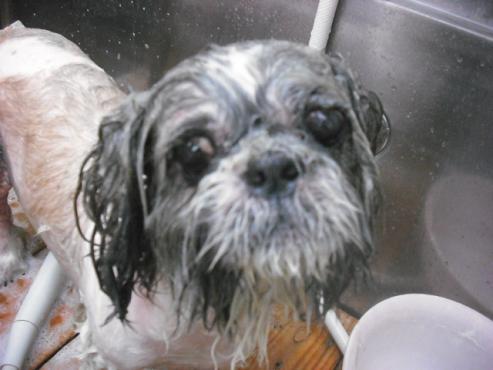 ファイル 1125-2.jpg