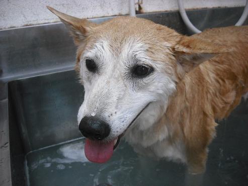 ファイル 1126-2.jpg