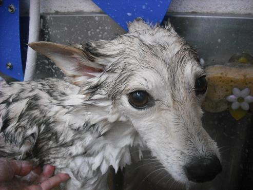 ファイル 1127-2.jpg