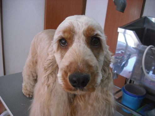 ファイル 113-1.jpg