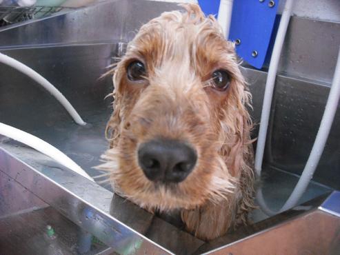 ファイル 113-2.jpg