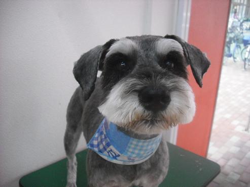 ファイル 1131-1.jpg