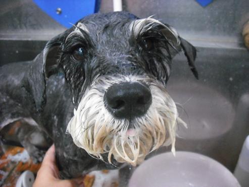 ファイル 1131-2.jpg