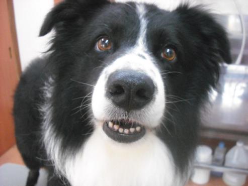 ファイル 1136-1.jpg