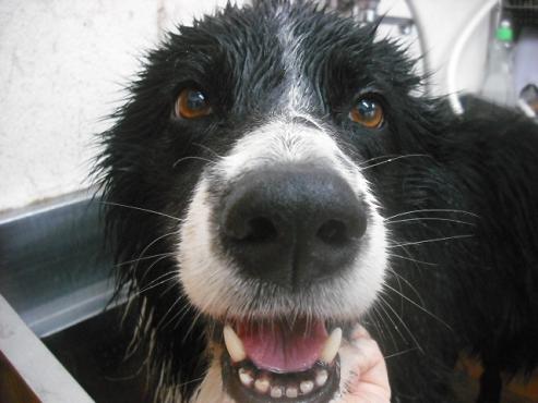 ファイル 1136-2.jpg