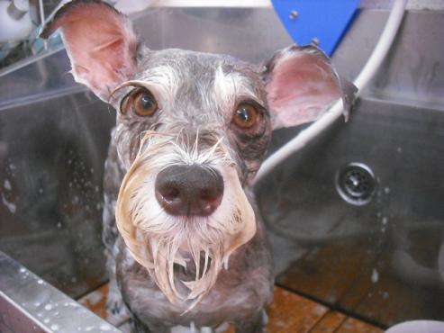 ファイル 1139-2.jpg