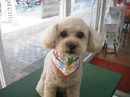 ファイル 114-1.jpg