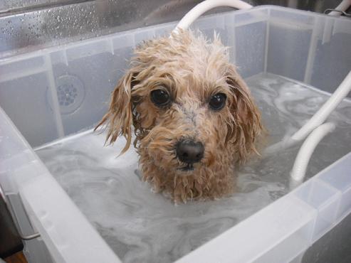 ファイル 114-2.jpg