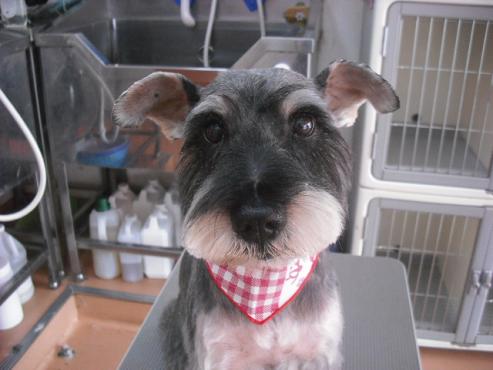 ファイル 1142-1.jpg