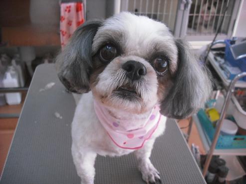 ファイル 1143-1.jpg