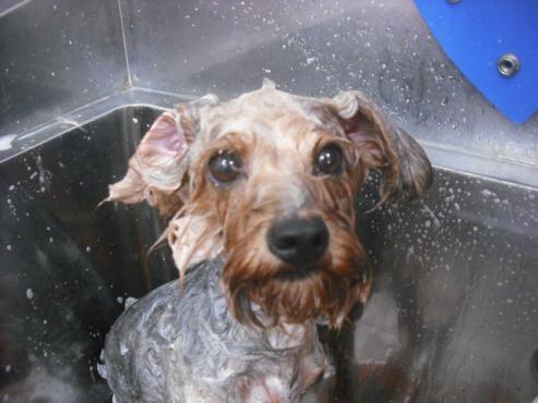 ファイル 1144-2.jpg