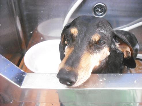 ファイル 1146-2.jpg