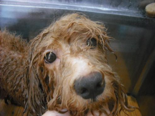 ファイル 1147-2.jpg