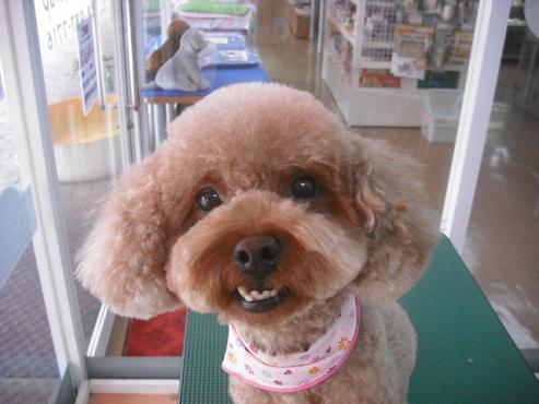 ファイル 1148-1.jpg