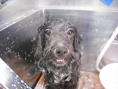 ファイル 1149-2.jpg