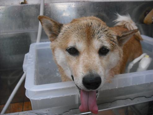 ファイル 115-2.jpg