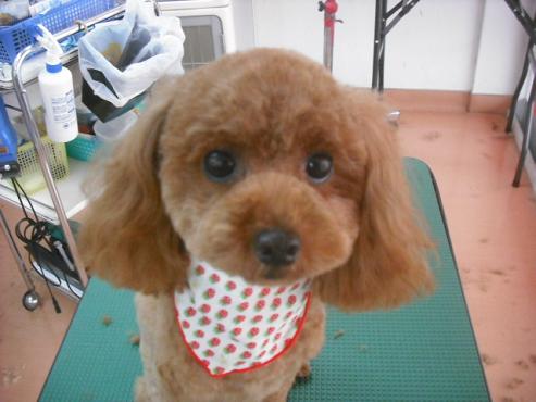 ファイル 1150-1.jpg