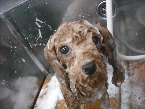 ファイル 1150-2.jpg