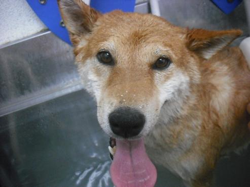 ファイル 1151-2.jpg