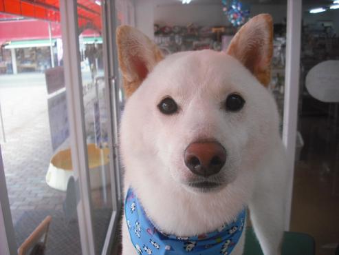 ファイル 1154-1.jpg