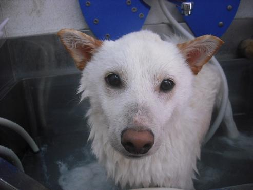 ファイル 1154-2.jpg