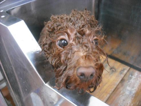 ファイル 1157-2.jpg