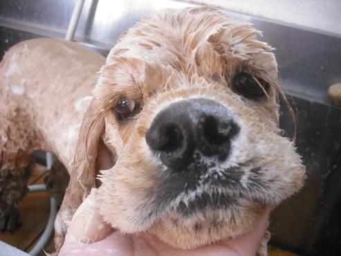 ファイル 1158-2.jpg