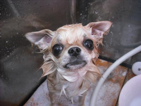 ファイル 116-2.jpg