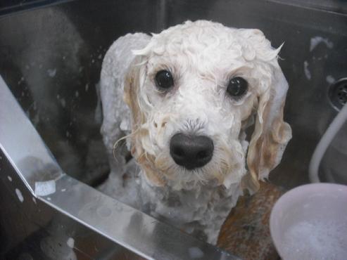 ファイル 1162-2.jpg